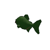 Piranha Fish